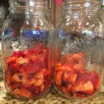 Fresh Fruit Kombucha - Sliced Strawberries