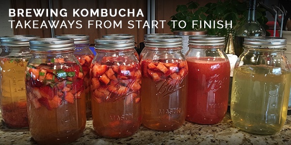 Brewing Kombucha - Start to Finish