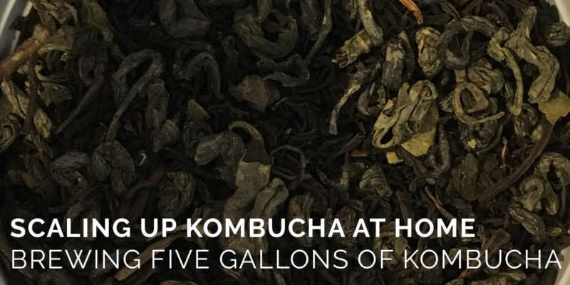 Scaling Up Kombucha Brewing at Home