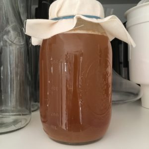 Harvested Scoby Growth Update / 2 Days of Growth