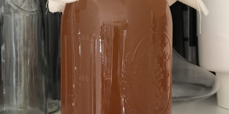Harvested Scoby Growth Update / 2 Days of Growth